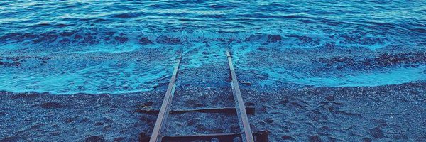 forest_11for Profile Banner