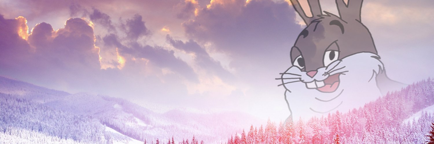 Chungus Capital banner