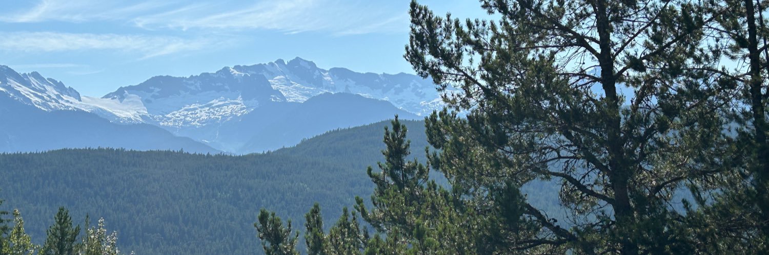 Canada is Awesome. #StillLovingTheBlueJays banner