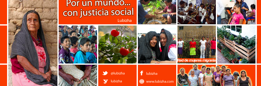 lubizha's profile banner image