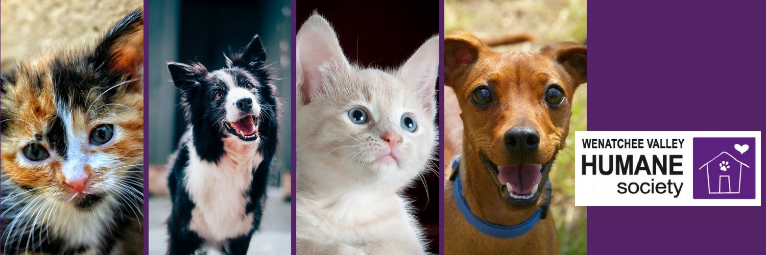 WenatcheeHumane's profile banner image