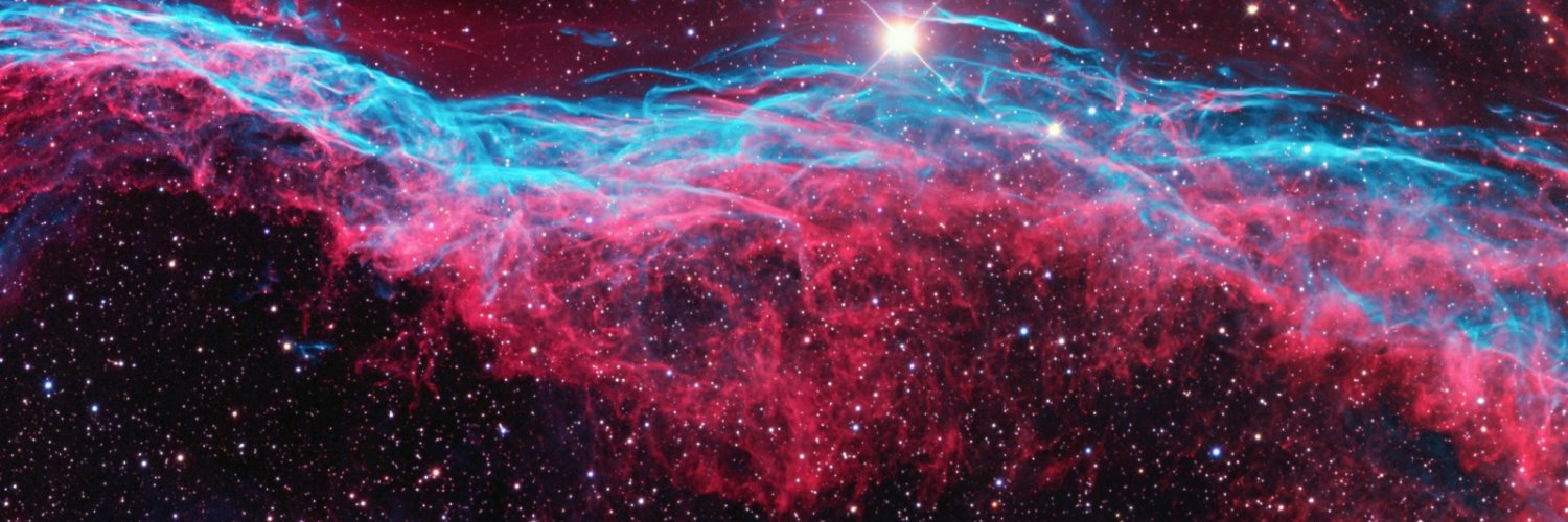 cryptobird101's profile banner image