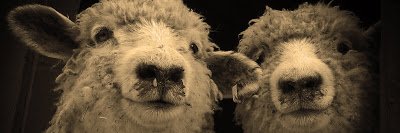 Earshawd's profile banner image