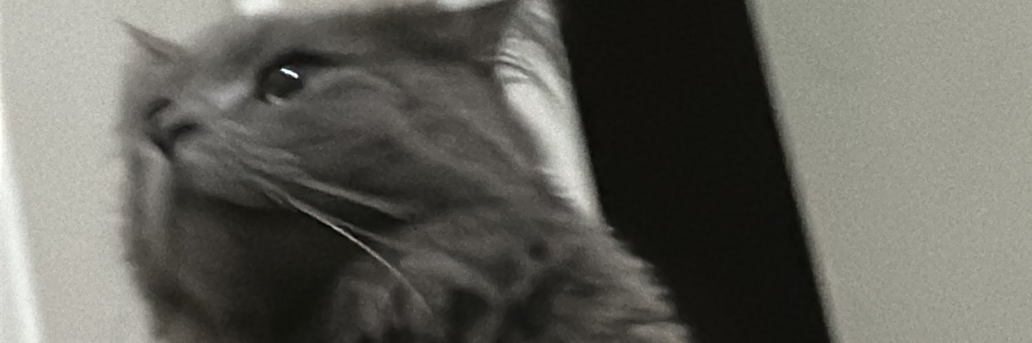 mayoonesaaaa_'s profile banner image