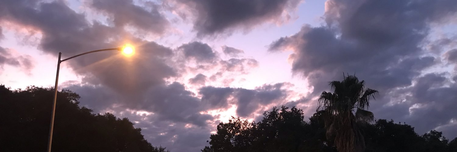 mireielmurr's profile banner image