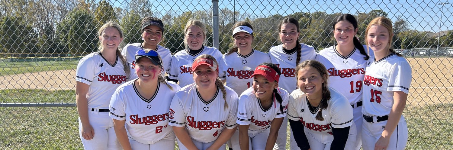 Louisville Lady Sluggers 08 Tackett banner