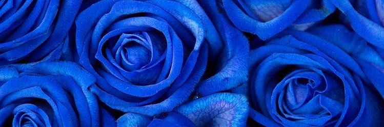 LashWake's profile banner image