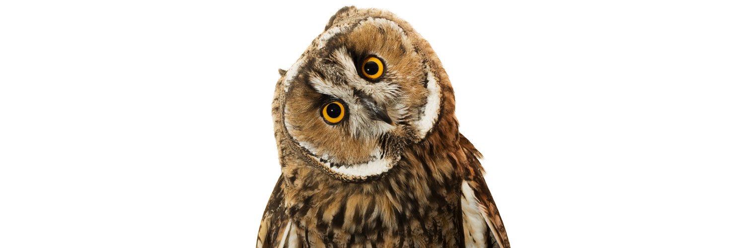 reponsesbio's profile banner image