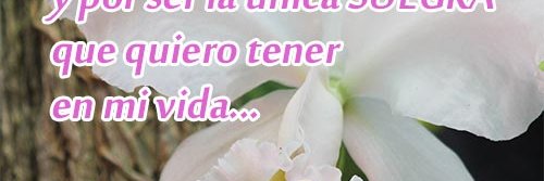 Tapsd5's profile banner image