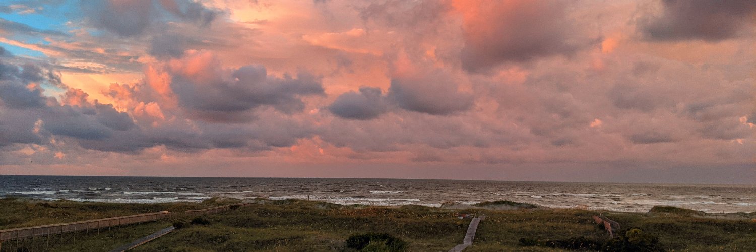 Michael Taylor ☮️🏳️‍🌈🏳️‍⚧️🇺🇲🇺🇦 banner