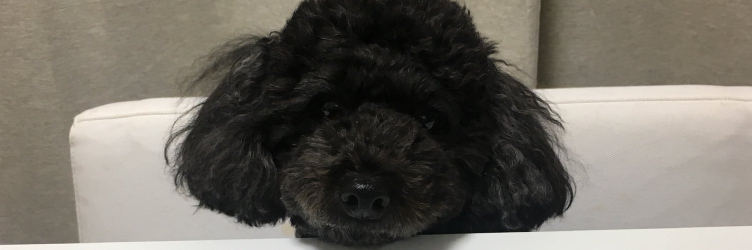 risa5potatohead's profile banner image