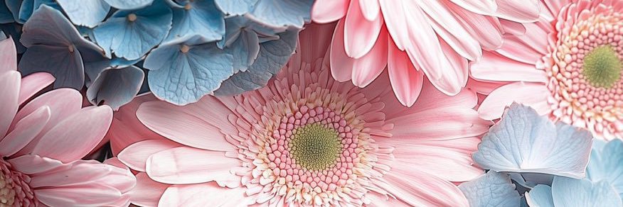 dianne banner