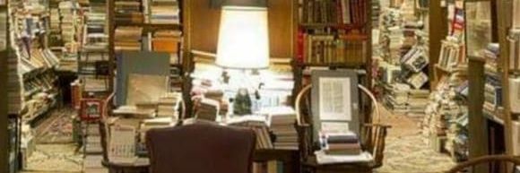 mimiangiolillo's profile banner image