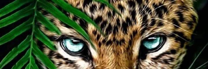 MasterFathelas's profile banner image
