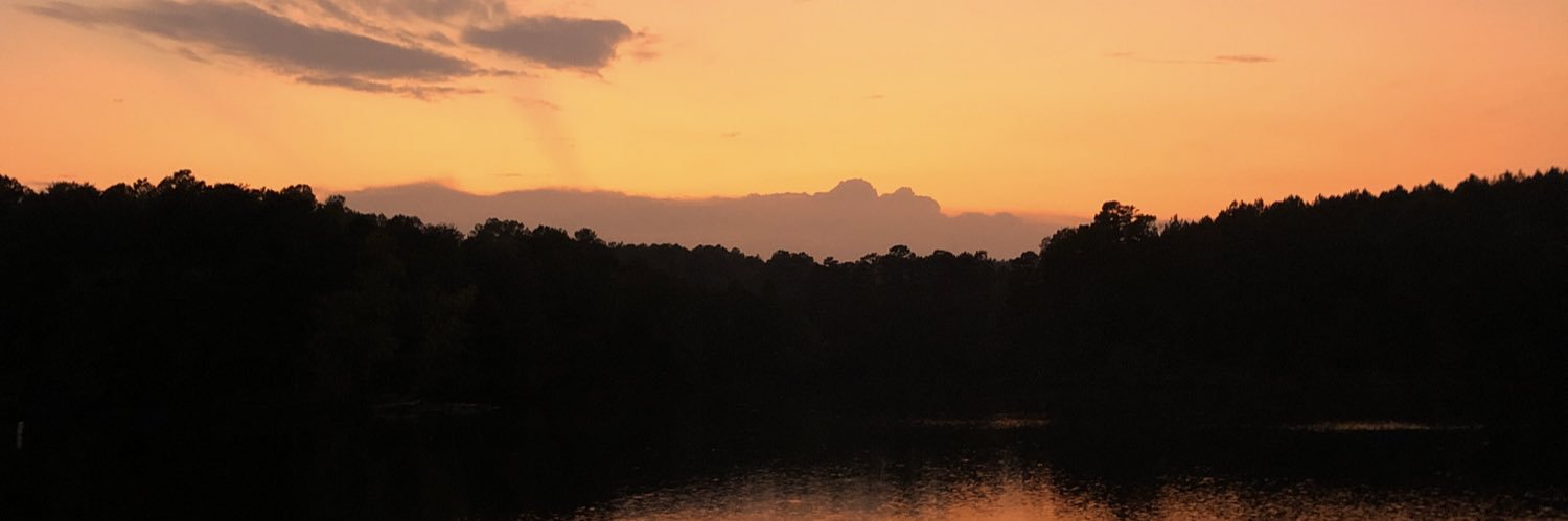 maddienicolee22's profile banner image