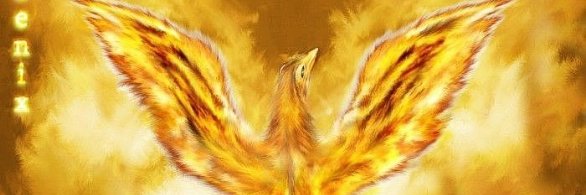 mary4862's profile banner image