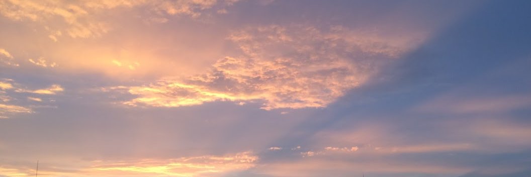au_cheval's profile banner image