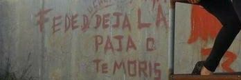 Fede Risi banner