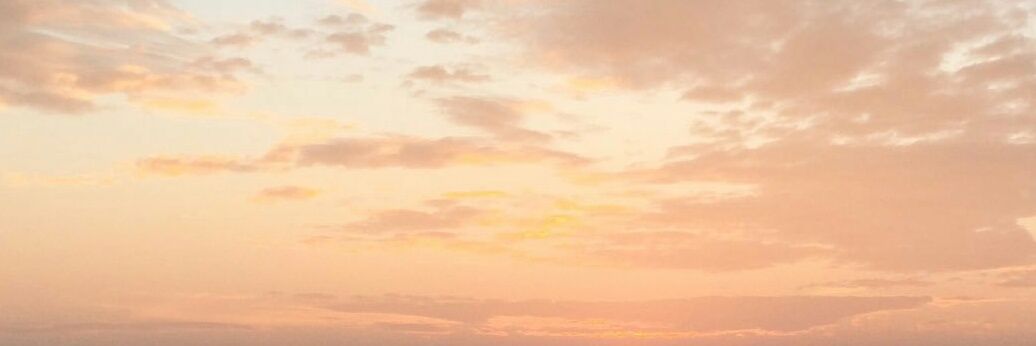 Nyneww banner
