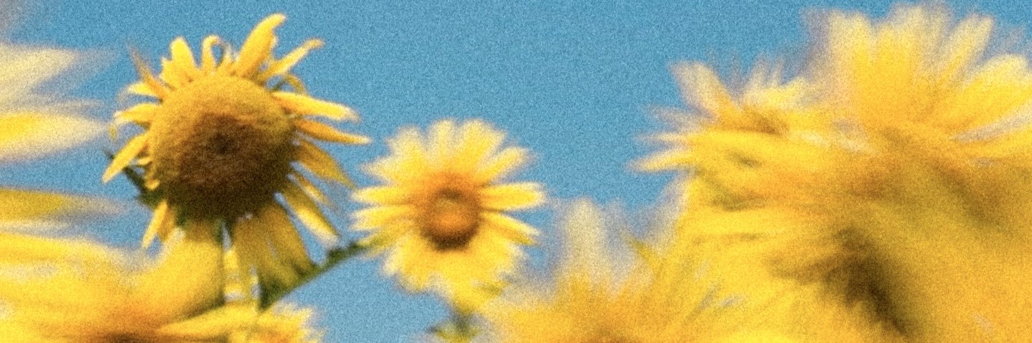 Luvox131's profile banner image