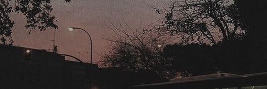somthoy banner
