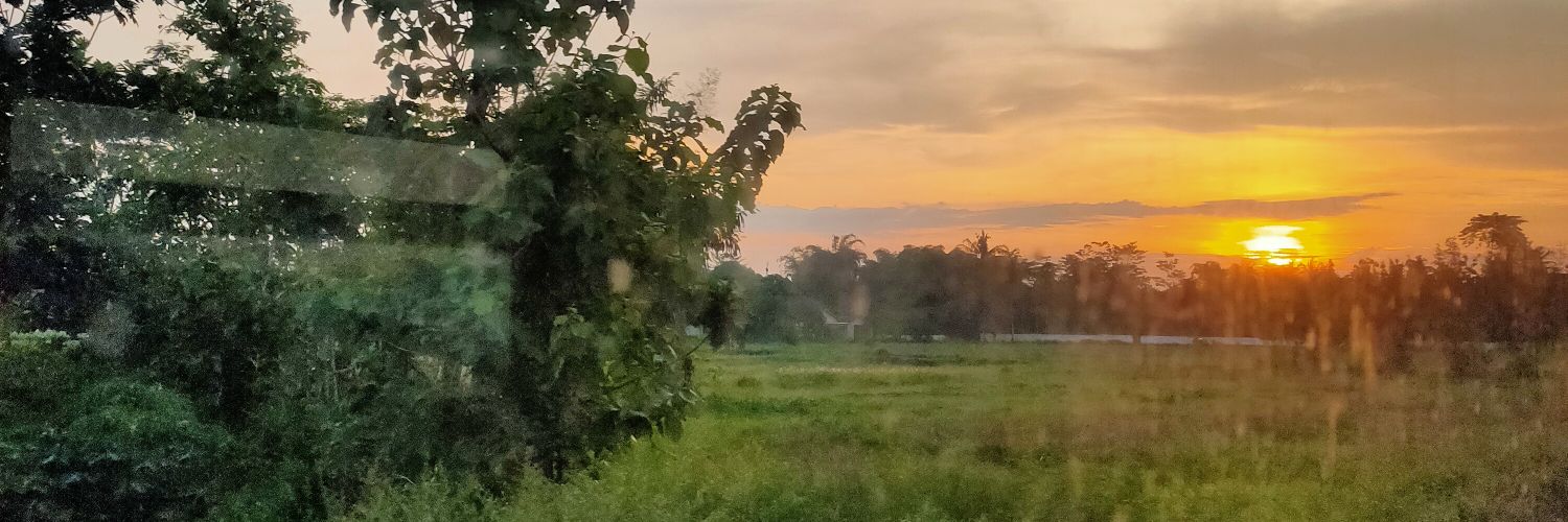 rini1192's profile banner image