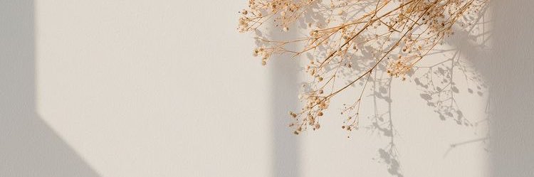 leahvanessaaa's profile banner image