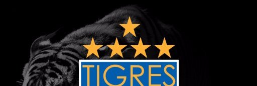 rreyna10's profile banner image