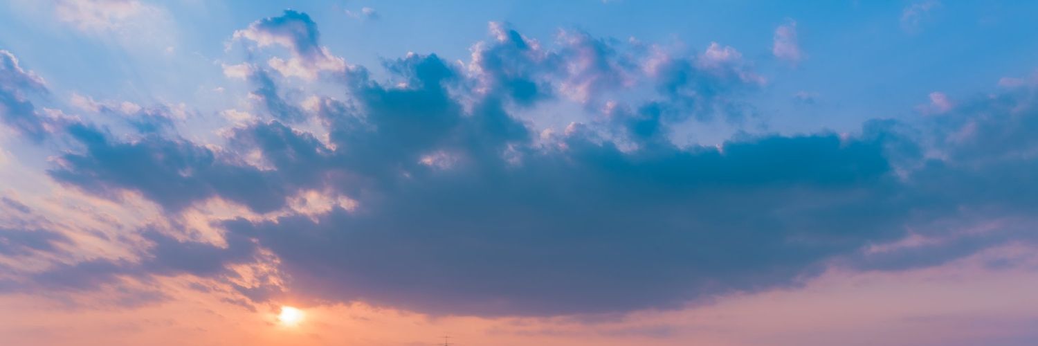 wil banner