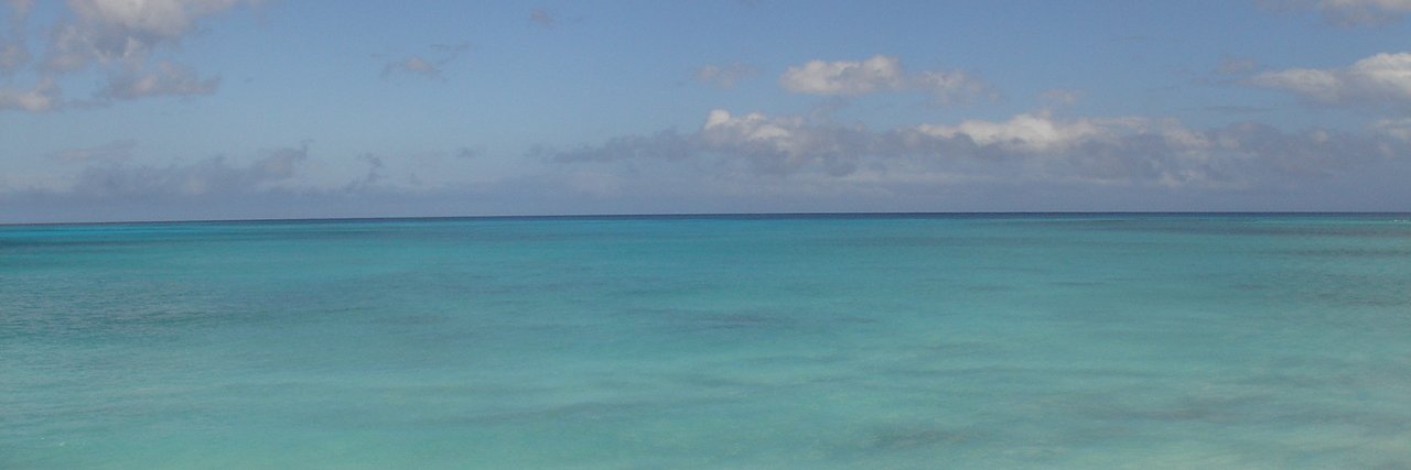 Audrey Darnaude's banner
