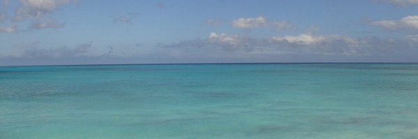 ADarnaude Profile Banner