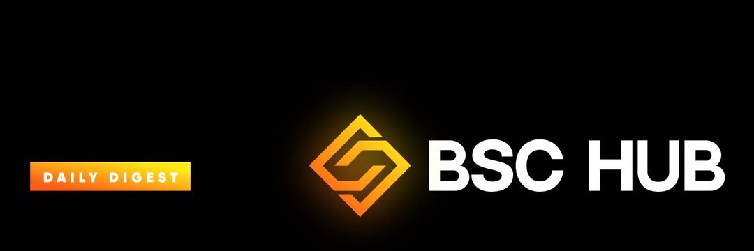BSC_HUB's banner