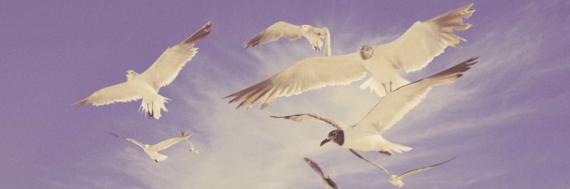 Taylor Swift’s old account banner