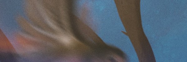 TRFprojectID Profile Banner