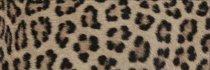 بوسف banner