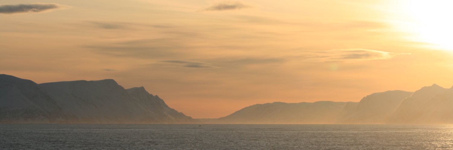 MontyBear8's profile banner image