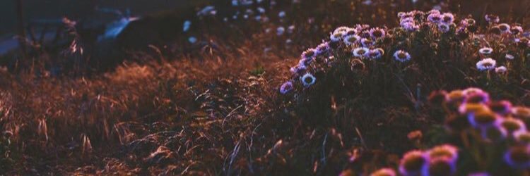 lodnessatisfy's profile banner image