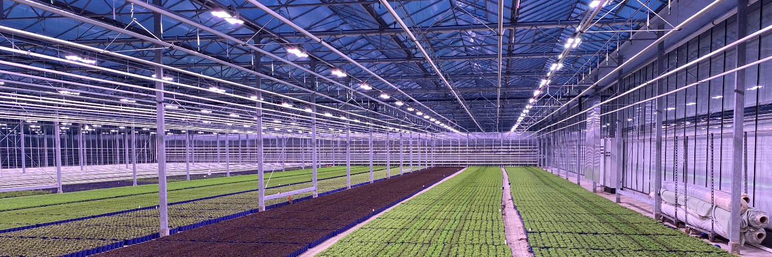 INDO Horticulture banner