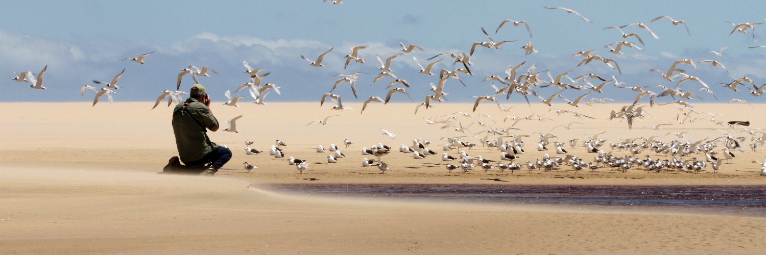 Ben Birdwatcher banner