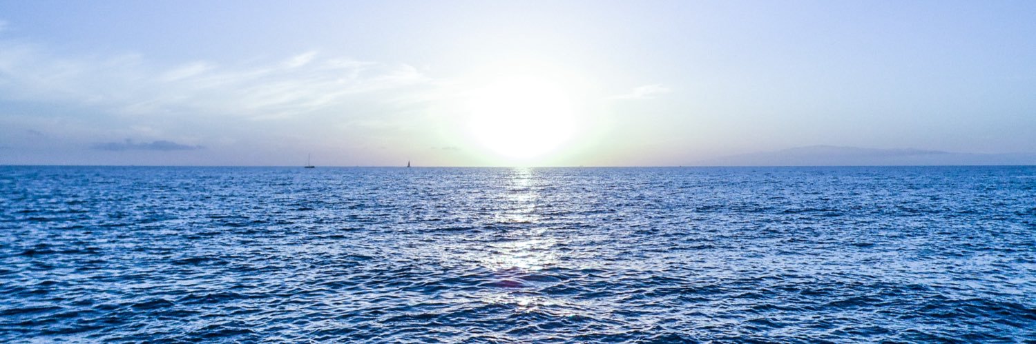 callmesk_'s profile banner image