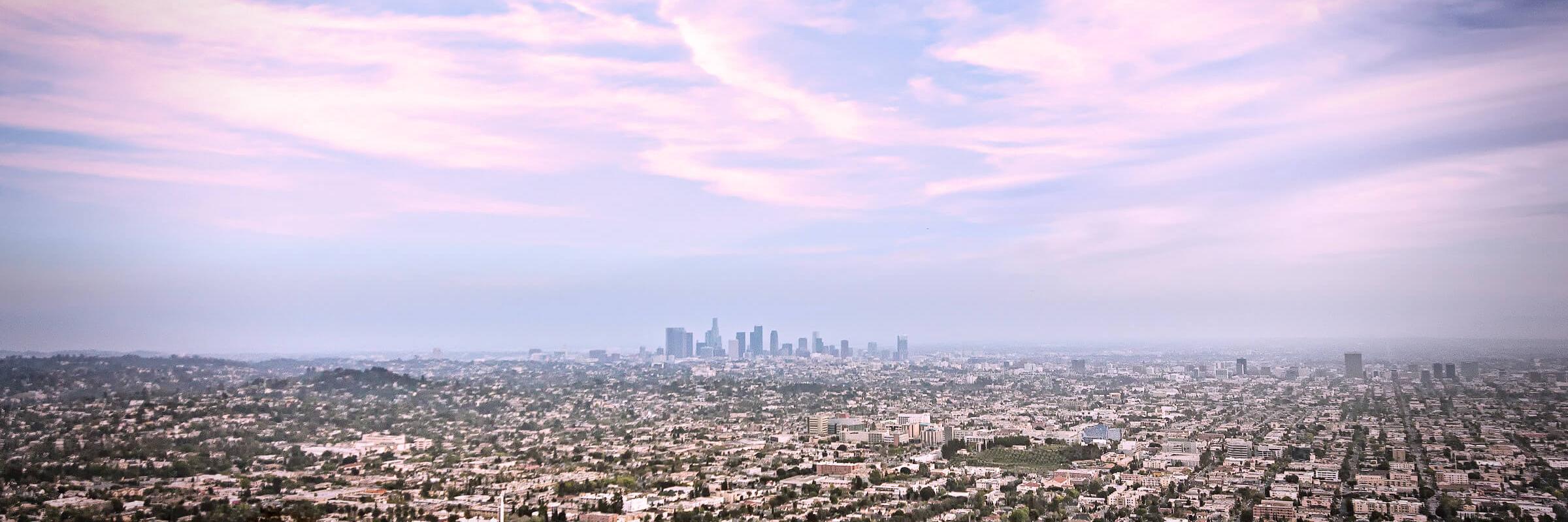 ADHD COLLECTIVE banner