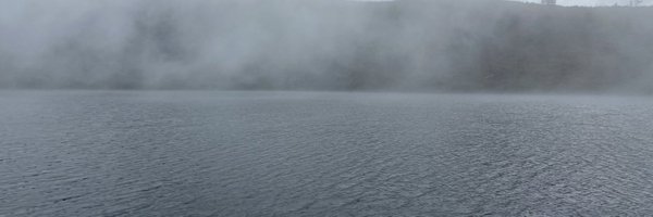 CoinStokes Profile Banner