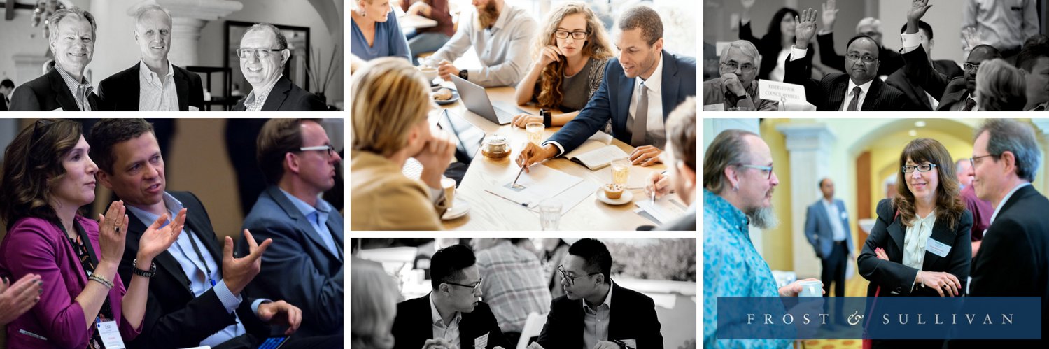 Frost & Sullivan banner
