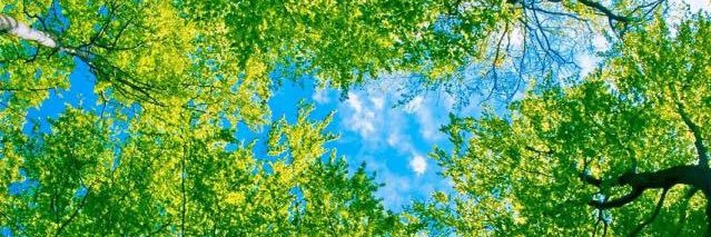 MammaYuka's profile banner image
