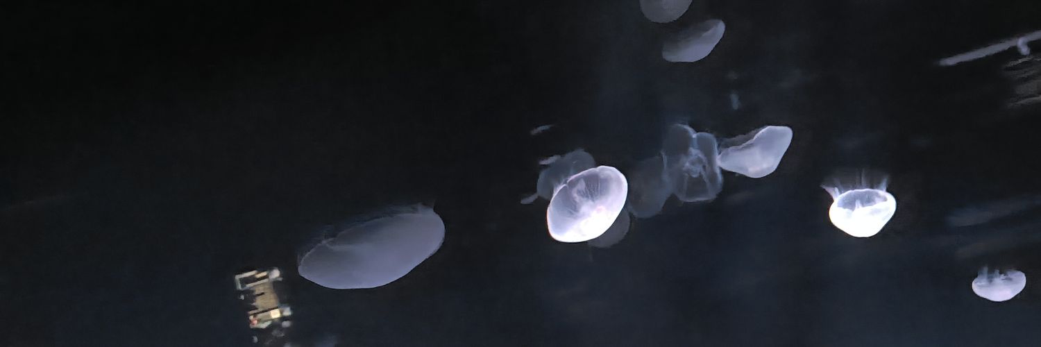 CHICOlllll's profile banner image