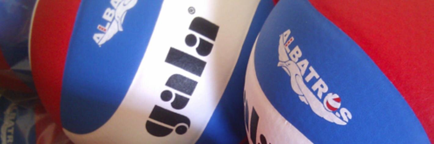 ALBAVOLLEY banner