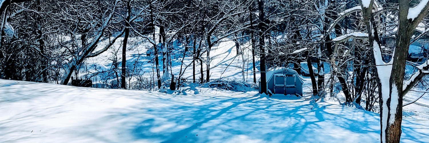 mndevguy's profile banner image