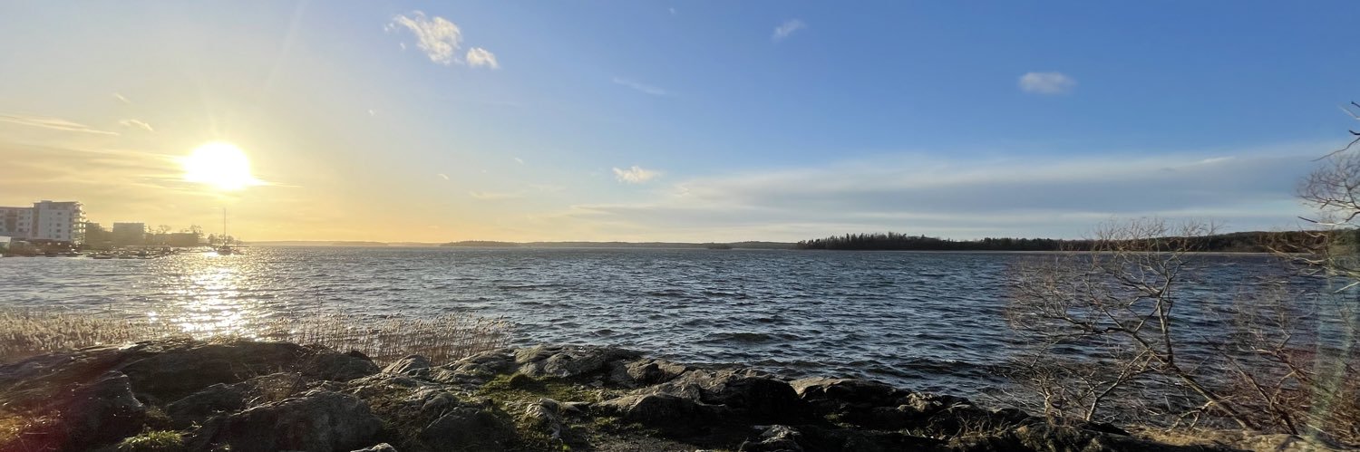 Svante Hallstedt banner