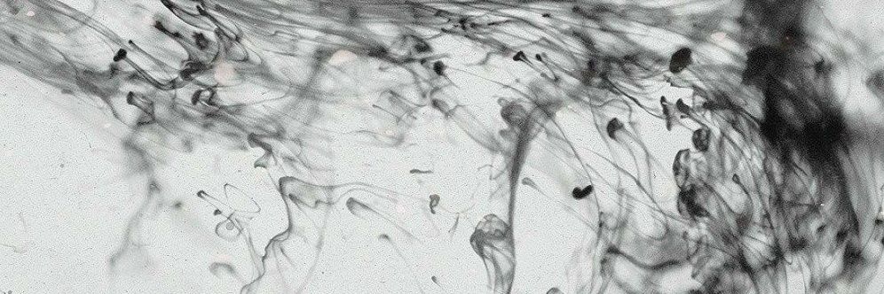 Noct_Accipiter's profile banner image