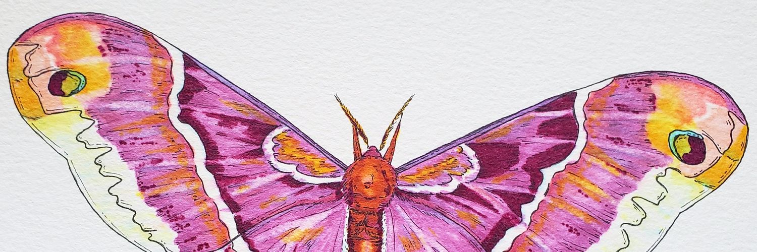 bri_bugs's profile banner image